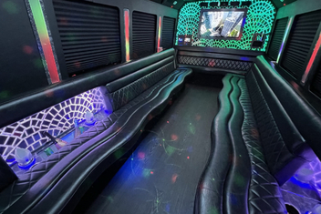 McAllen Limo Bus Interior
