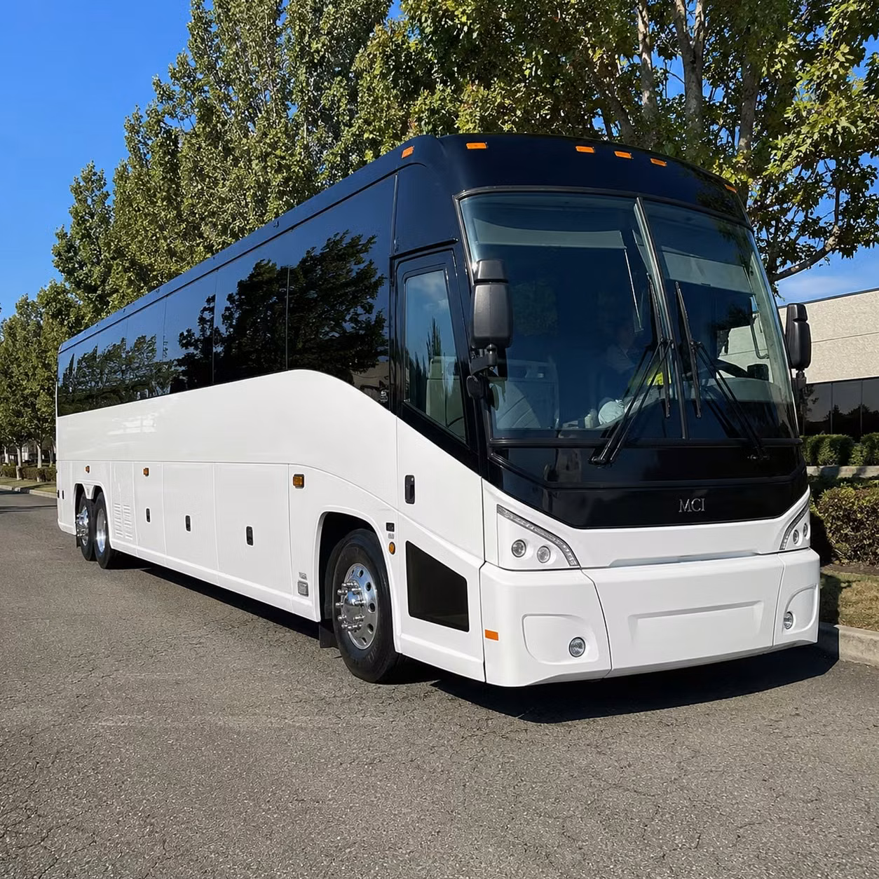 56 passenger charter bus