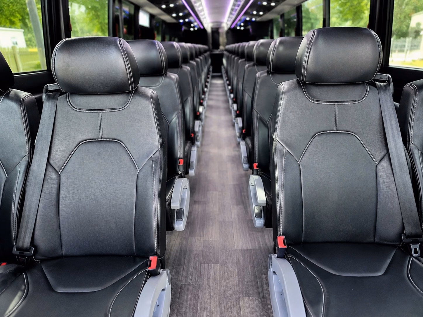 mcallen charter bus inside